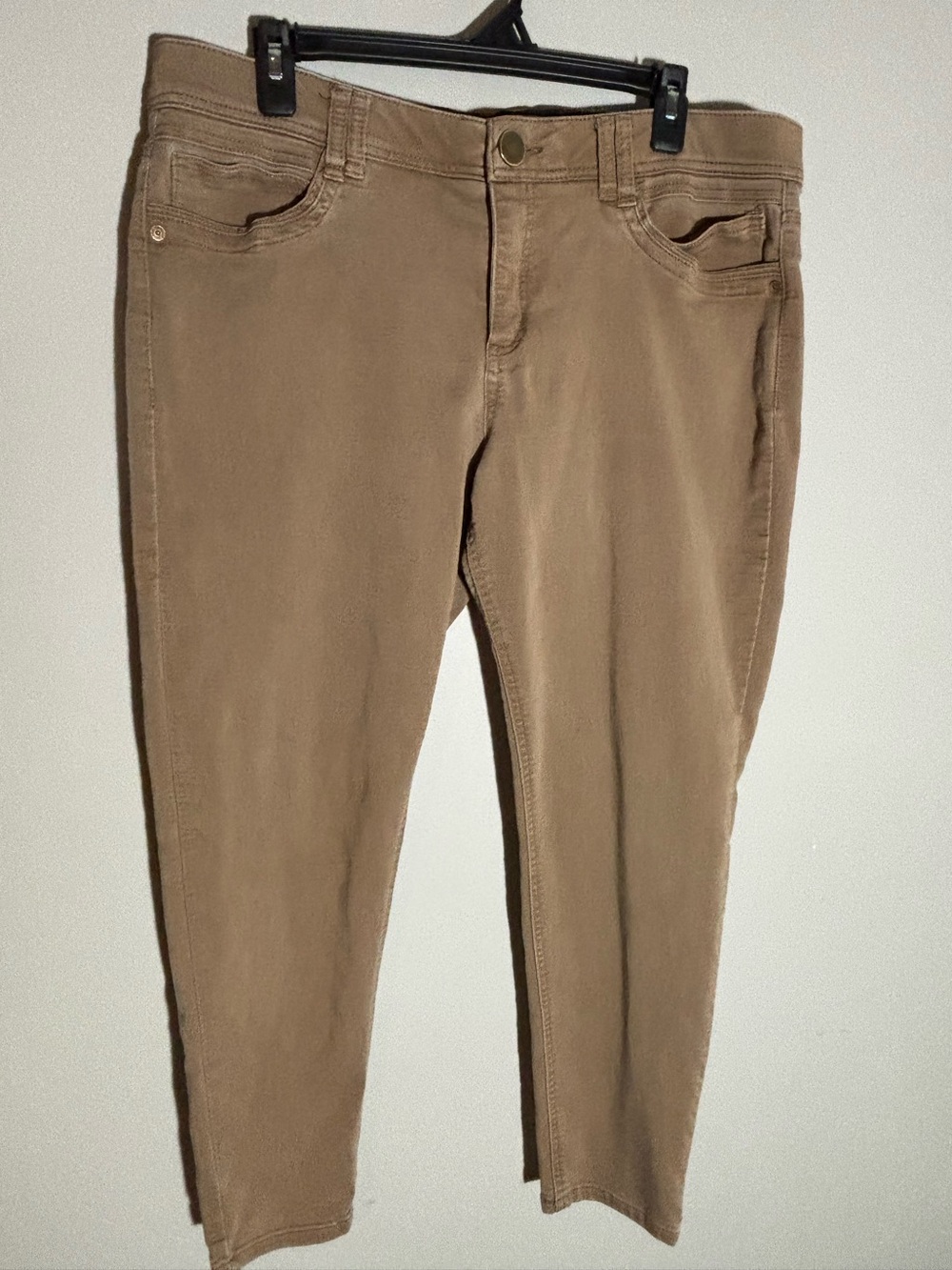 Democracy AB Technology Women’s 14 Tan Stretch Ankle Pants